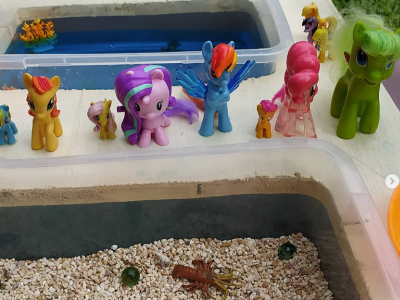 Playdough activity
